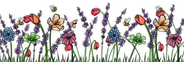 Wildflowers illustration