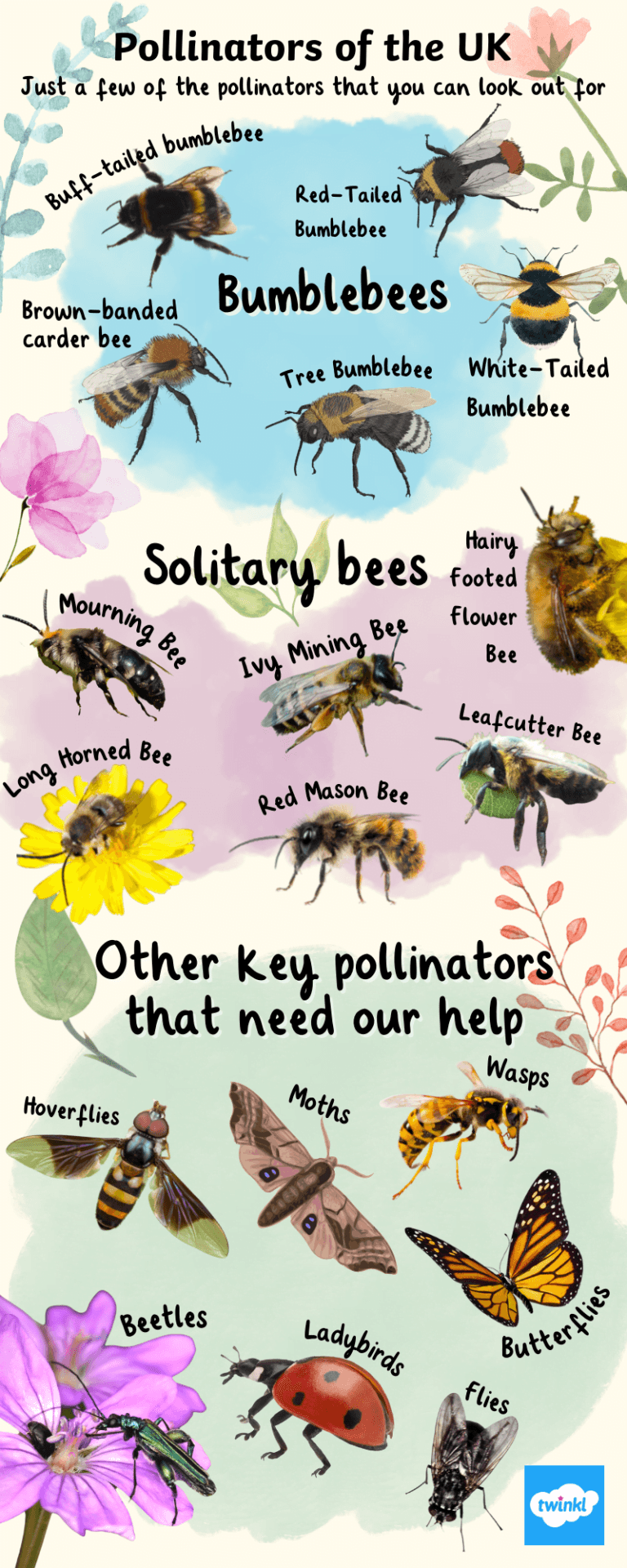 Some Uk Pollinators And Their Importance 7202