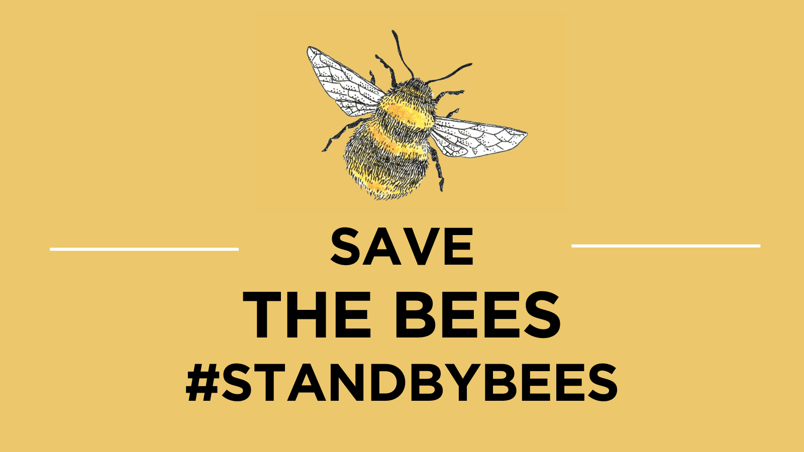 Support Bee Rights #StandByBees - sign the petition against pesticides
