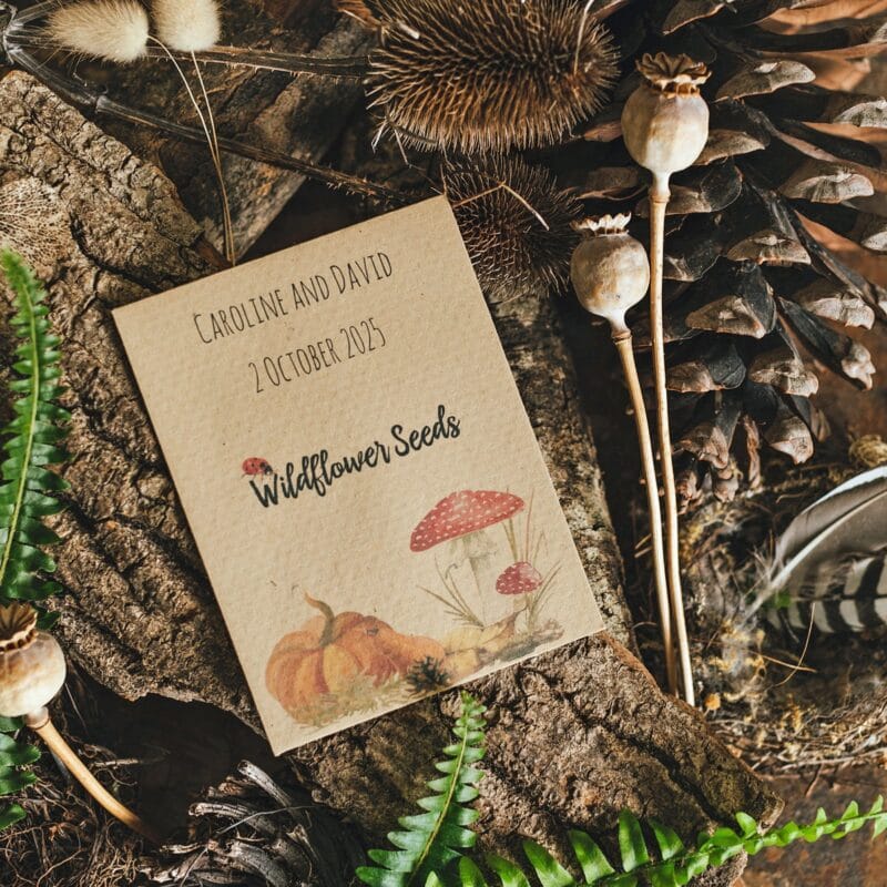 Autumn seed packet wedding favour