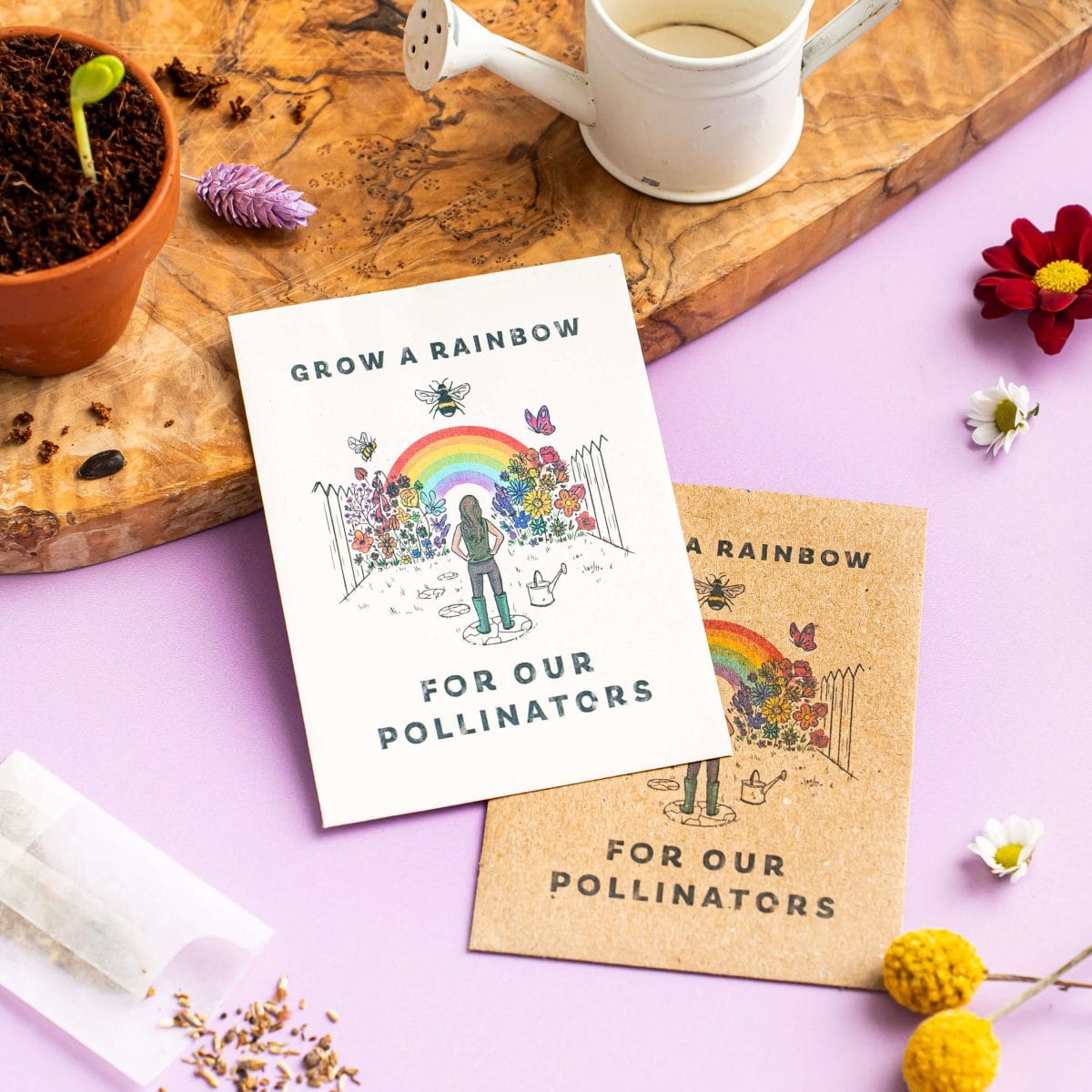 Grow a rainbow of wildflowers for pollinators seed packet