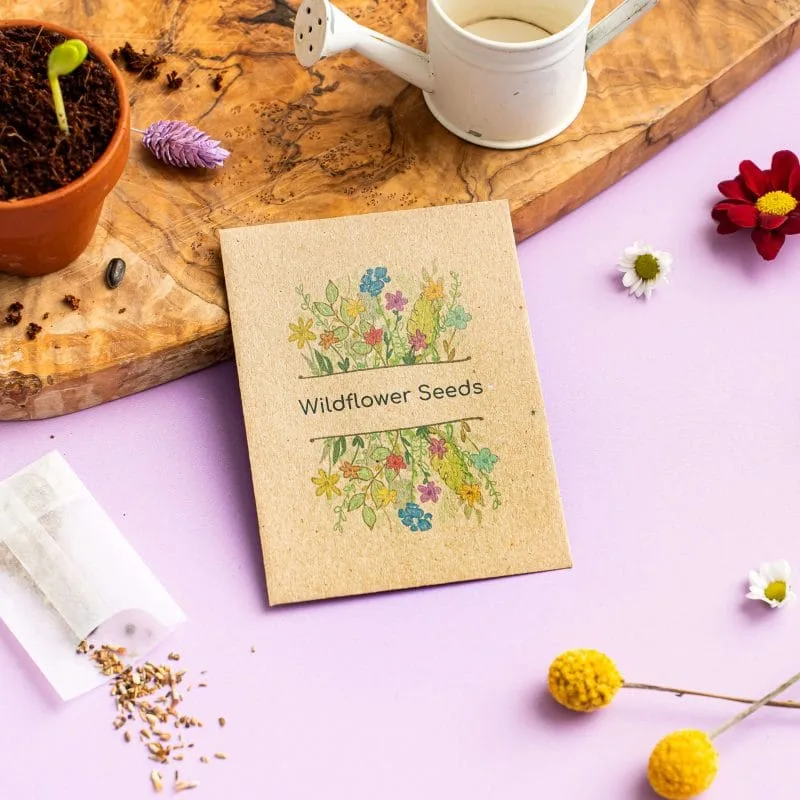 Colourful wildflower seed packet