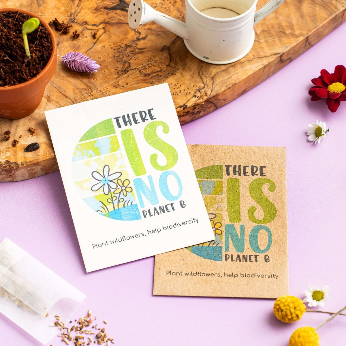 Wildflower seed cards with There Is No Planet B environmental message